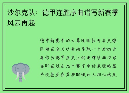 沙尔克队：德甲连胜序曲谱写新赛季风云再起